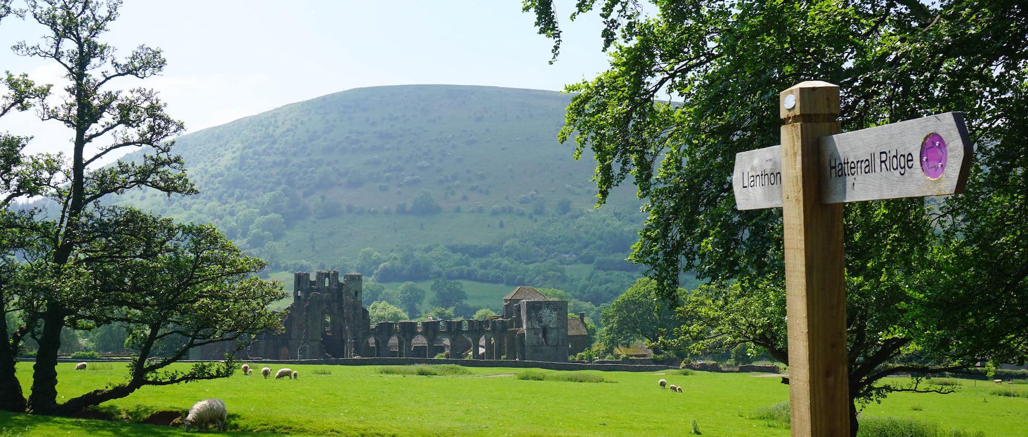 Offa's Dyke Path National Trail Signpost at Llanthony / Hatterrall Ridge