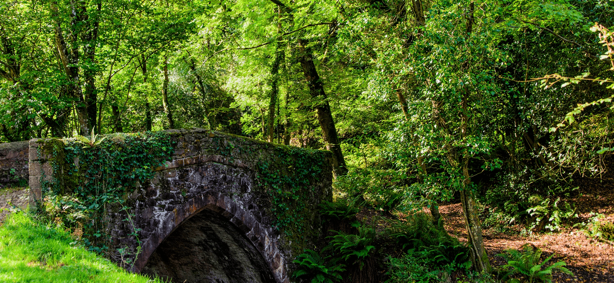 Image of Bridge near woods Nether Stowey