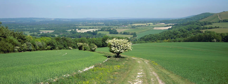 South Downs Way