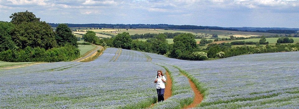 Cotswold Way