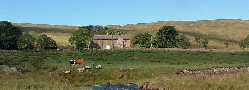 Walking Holiday Nethergill