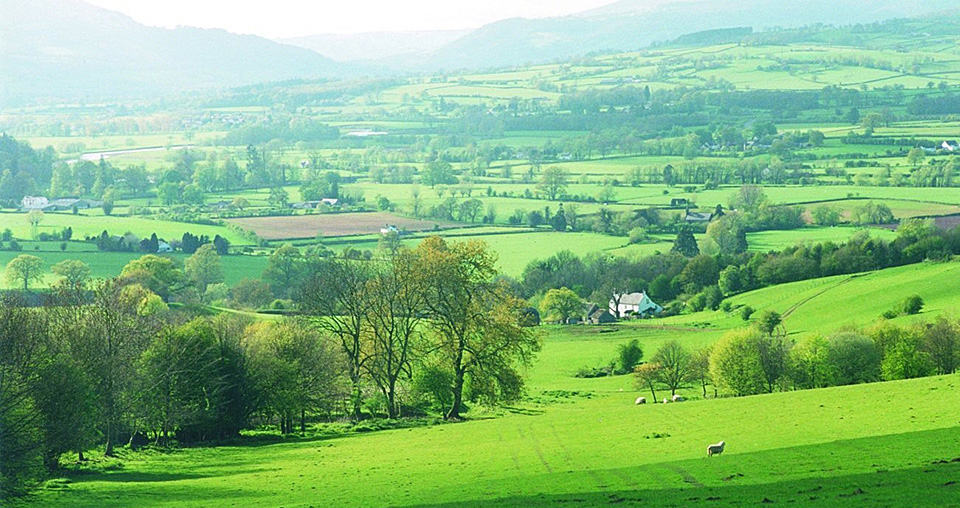 Walking Holidays Offas Dyke Path Herefordshire