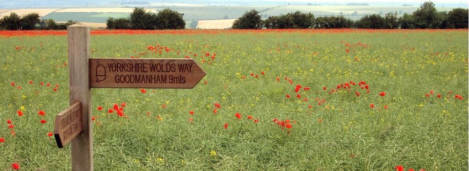 Signpost-Walking-Wolds-Way