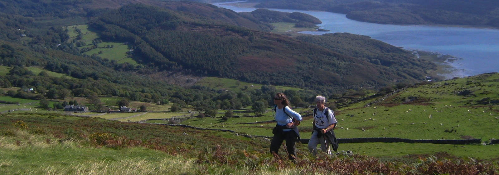 Celtic Trails Walking Holidays