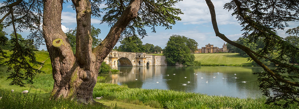 River thames with Blenheim Palace over the bridge