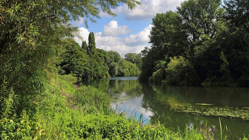 Image of winding canal near Pangbourne, Reading