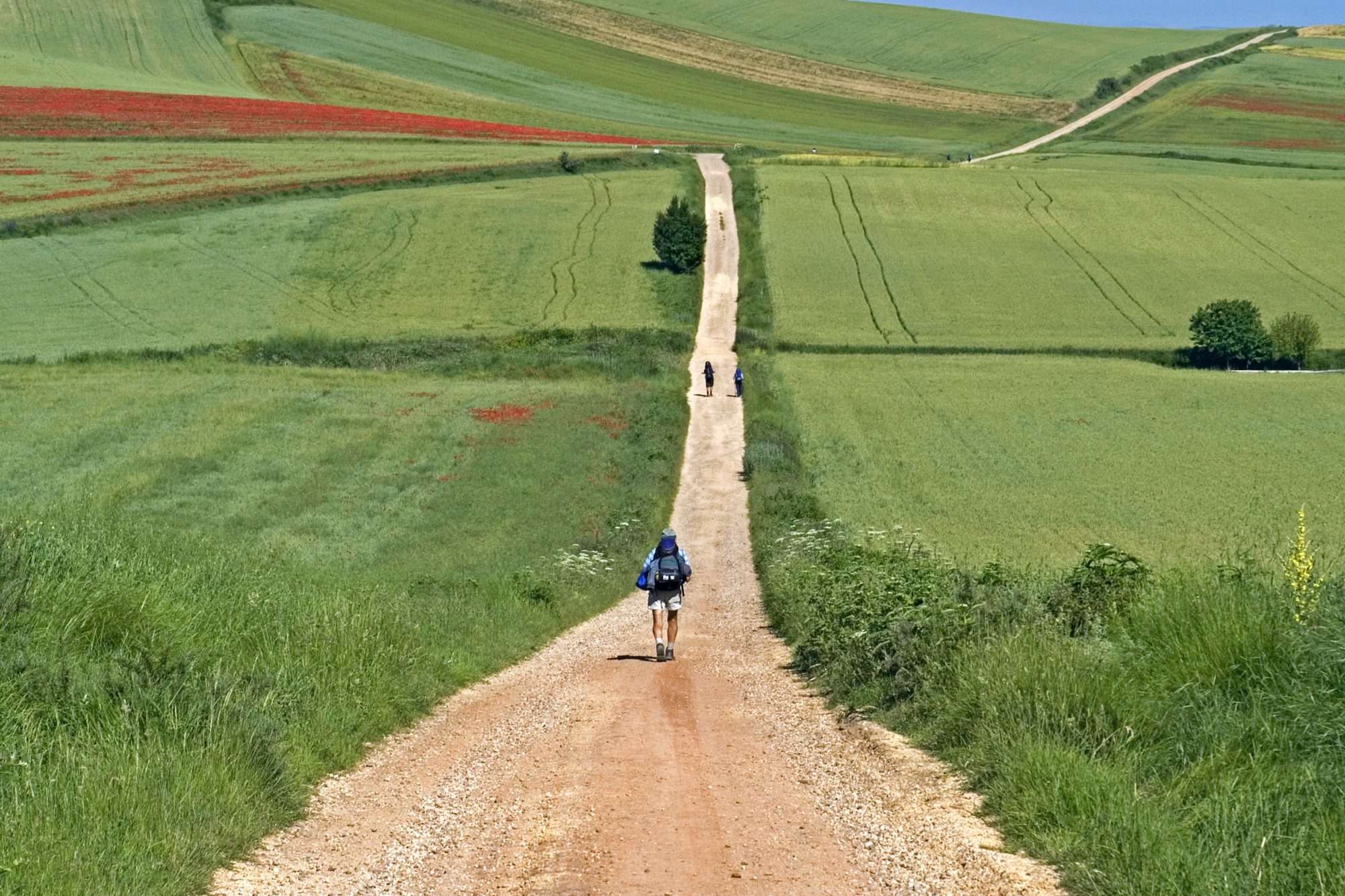 Solitary Walker along the Camino Way, solo walking holidays