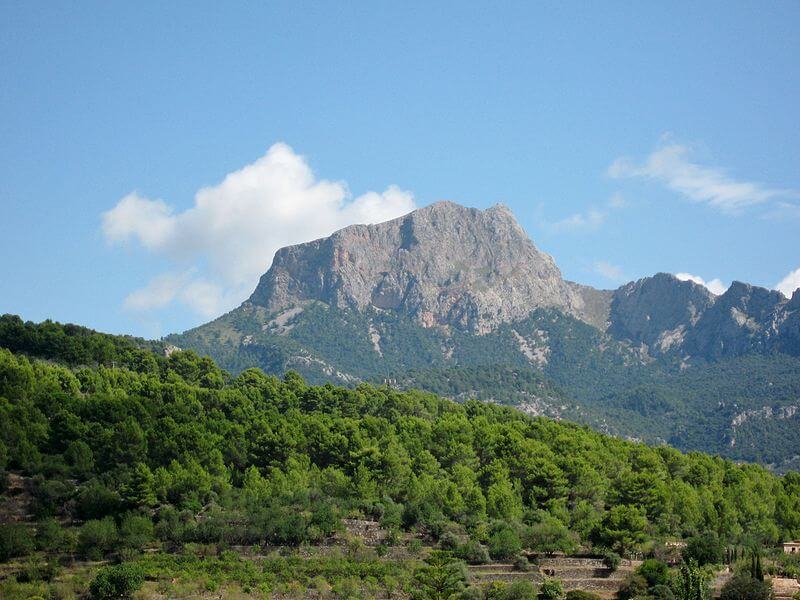 walking-holidays-in-mallorca-puig-major