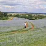 Image of Anne, hiking through fields of flowers on a Cotswolds walking holiday