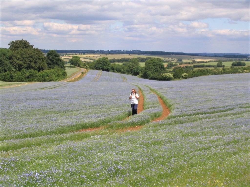 Image of Anne, hiking through fields of flowers on a Cotswolds walking holiday