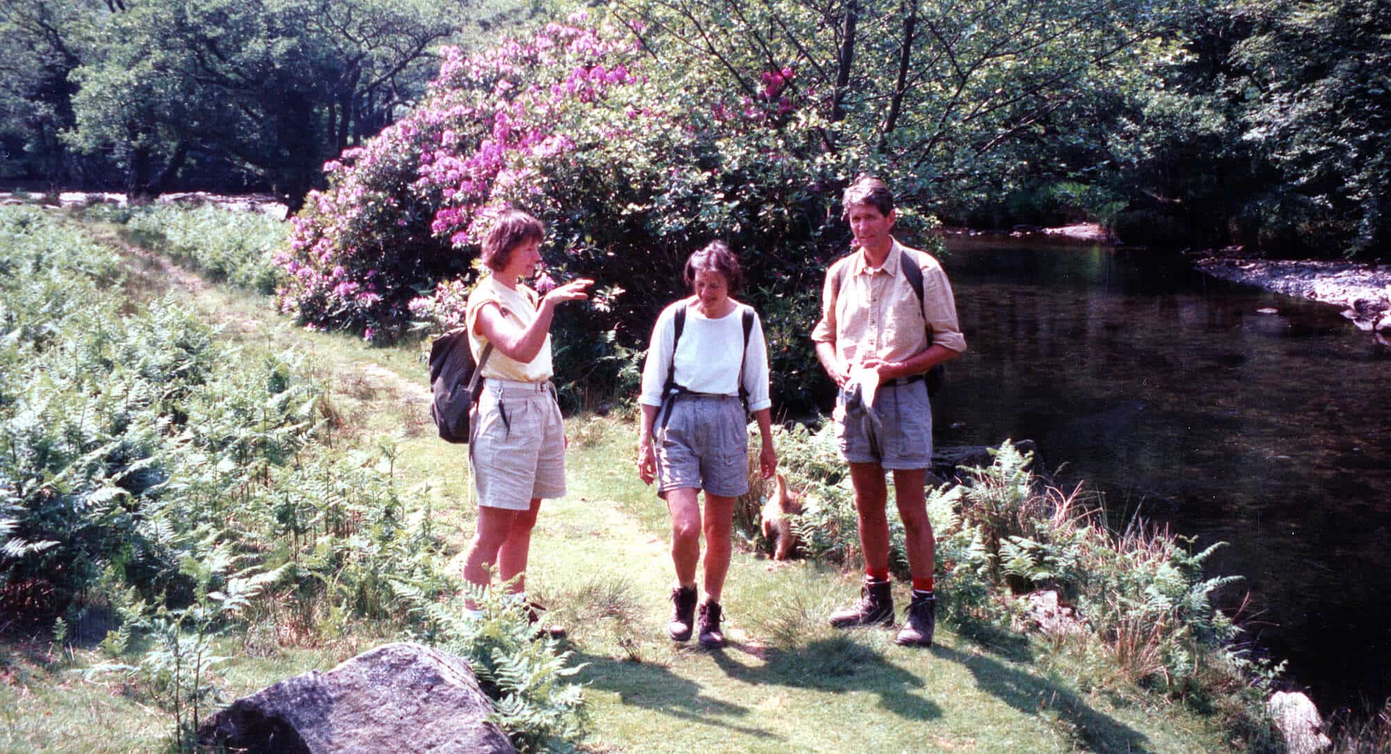 Judy guiding clients