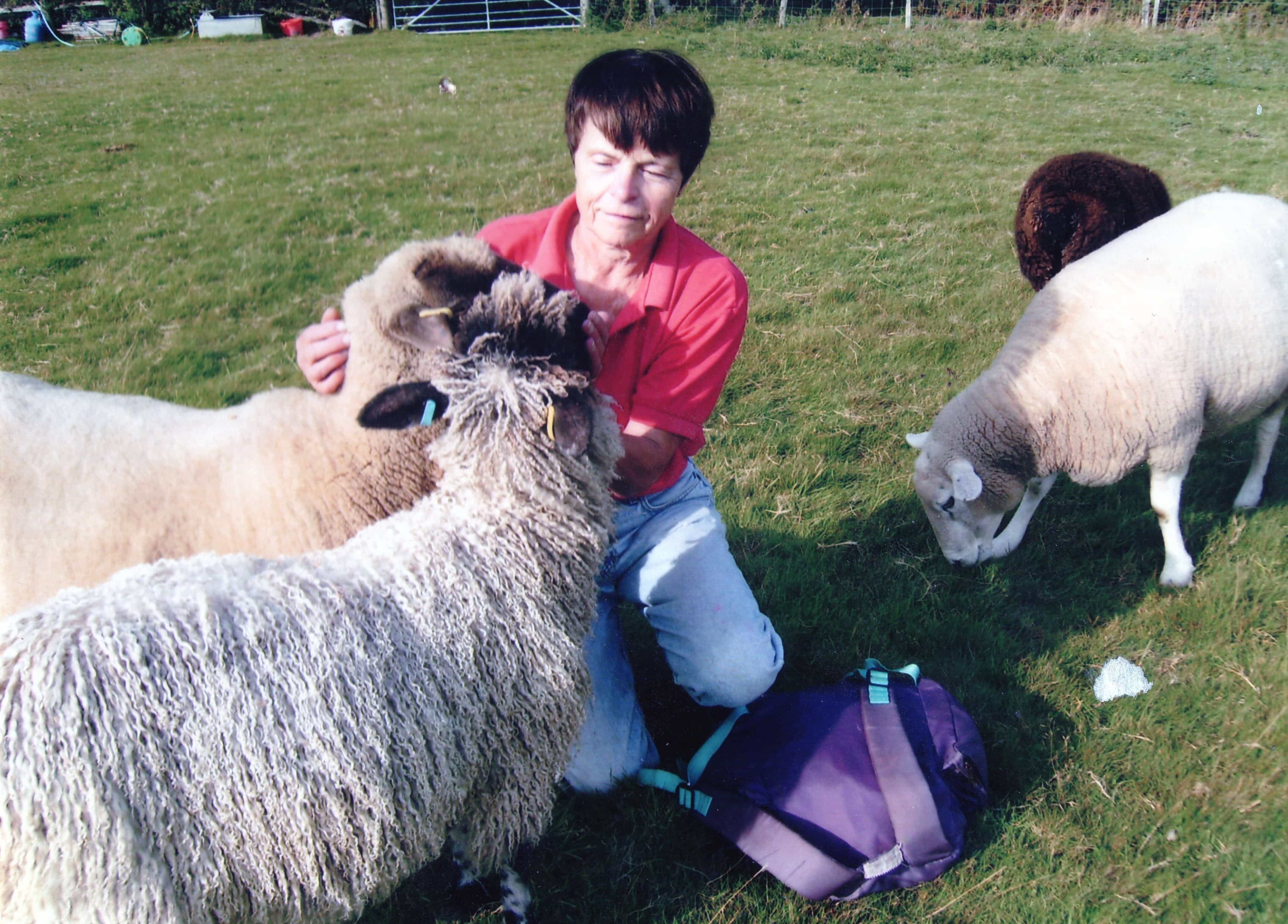 Norma Moody and her sheep