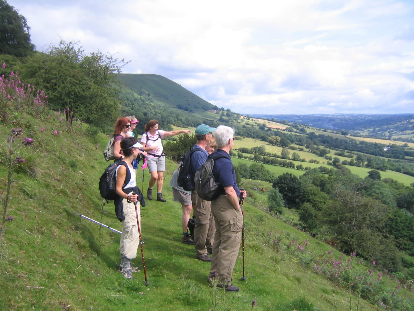 Cotswolds Cleeve Hill