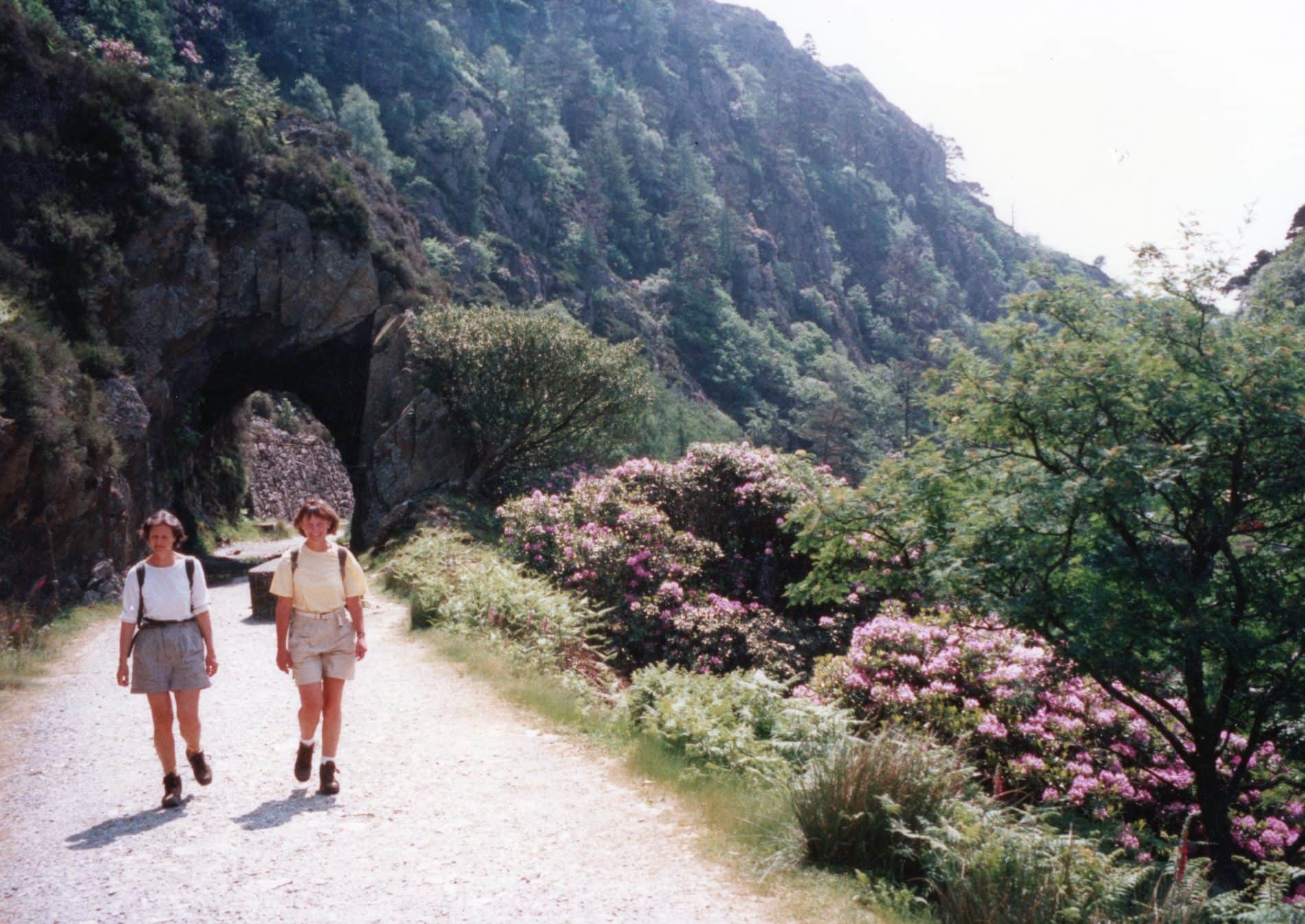 Image of two walkers hiking on a spring day in our early days as a company