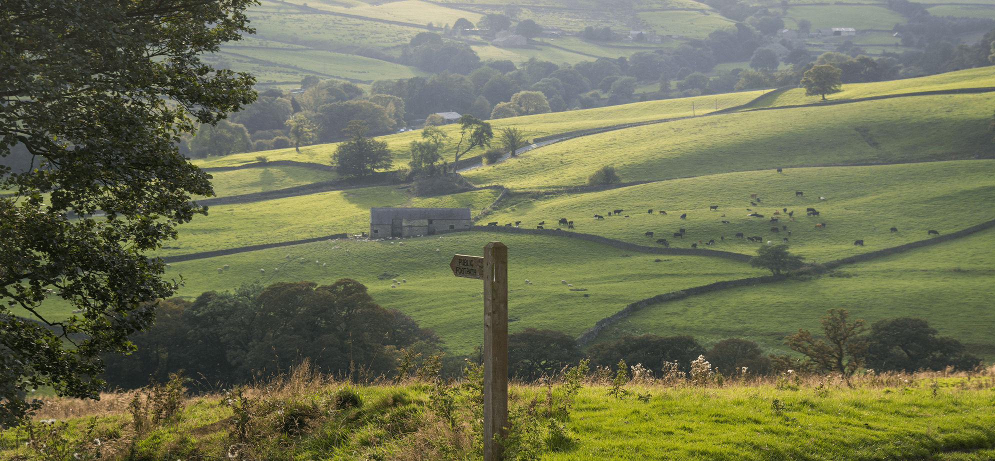 Yorkshire Wolds Walking Holidays in England