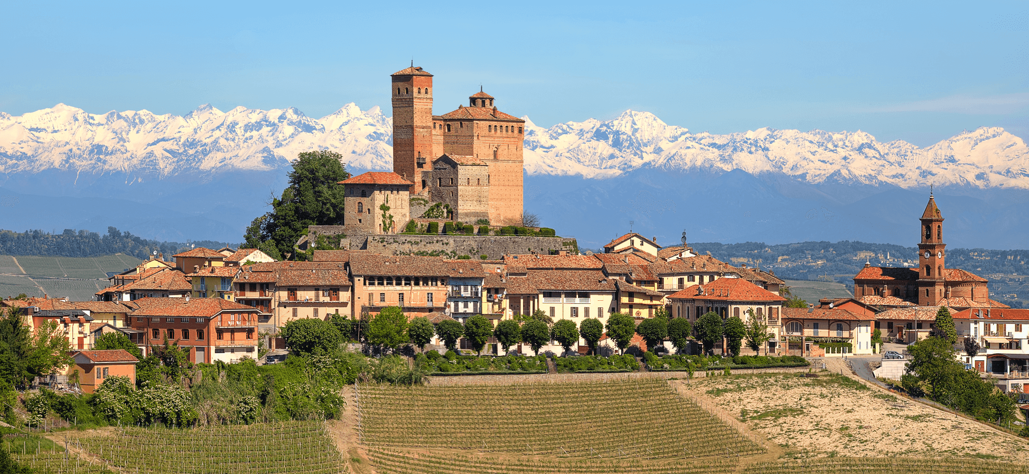 Barolo Piemonte with Alps in Background