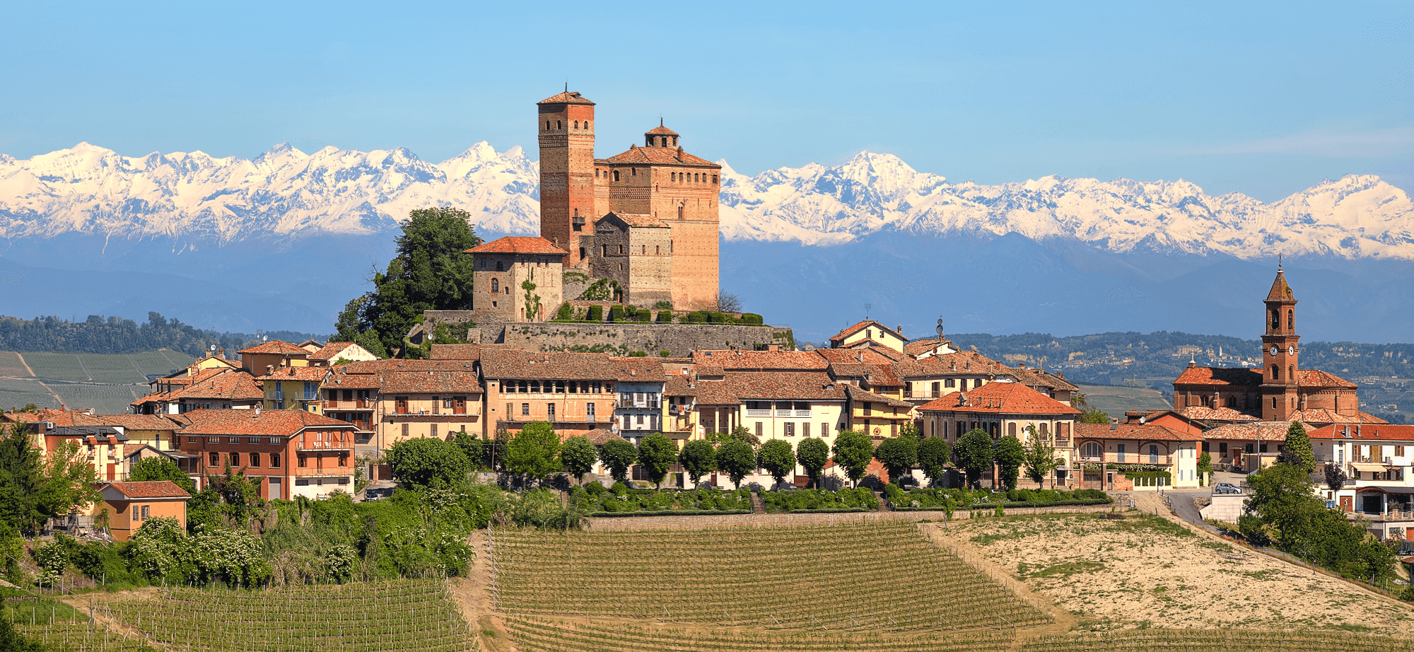 Barolo Piemonte with Alps in Background