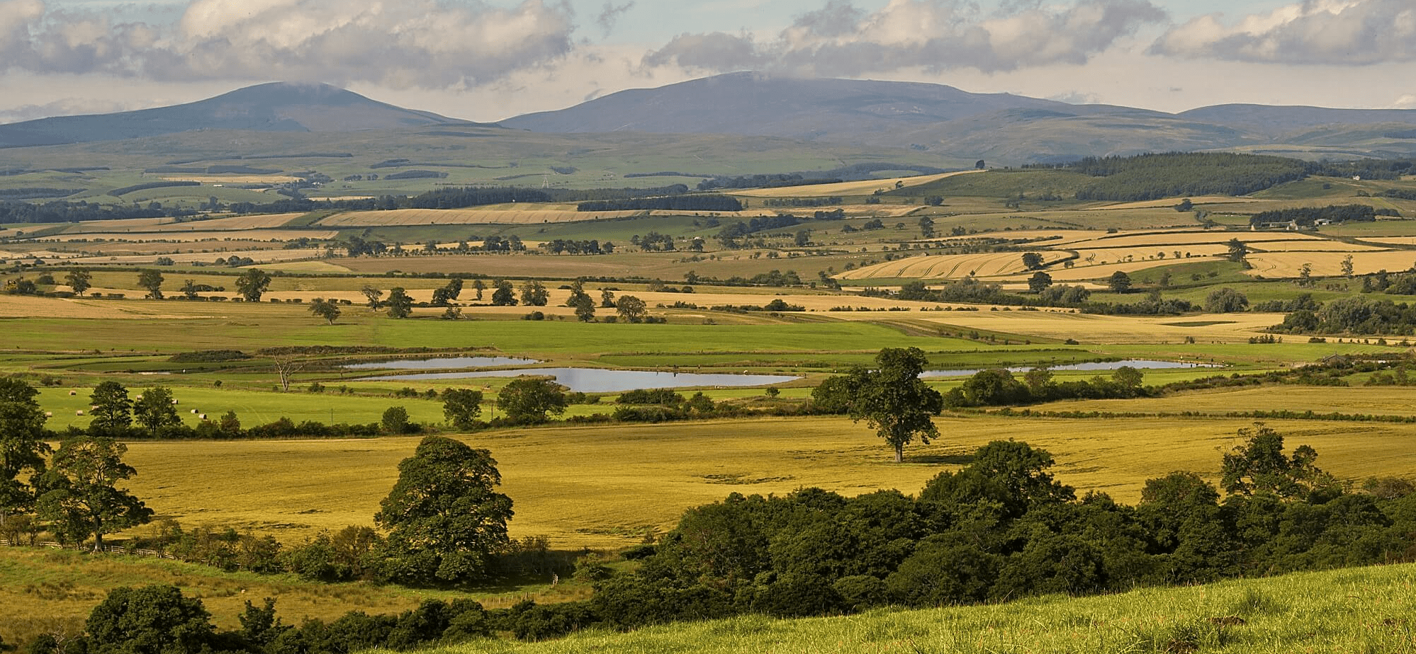 Walks in Northumberland