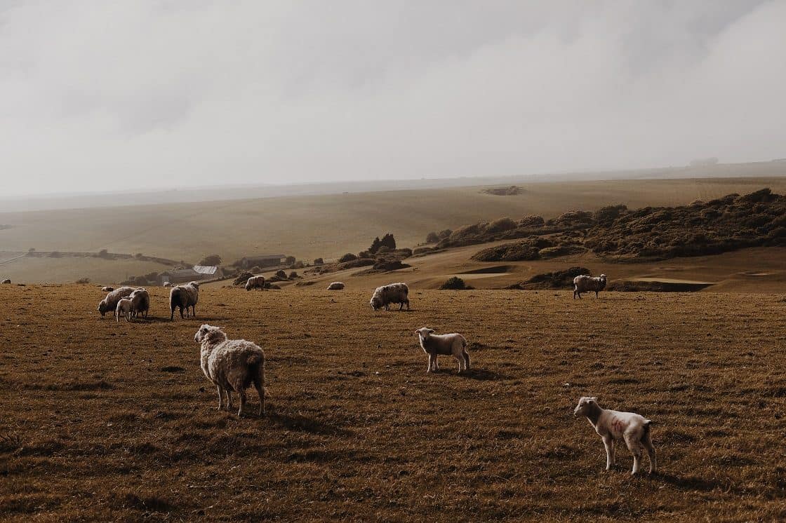 English Landscape