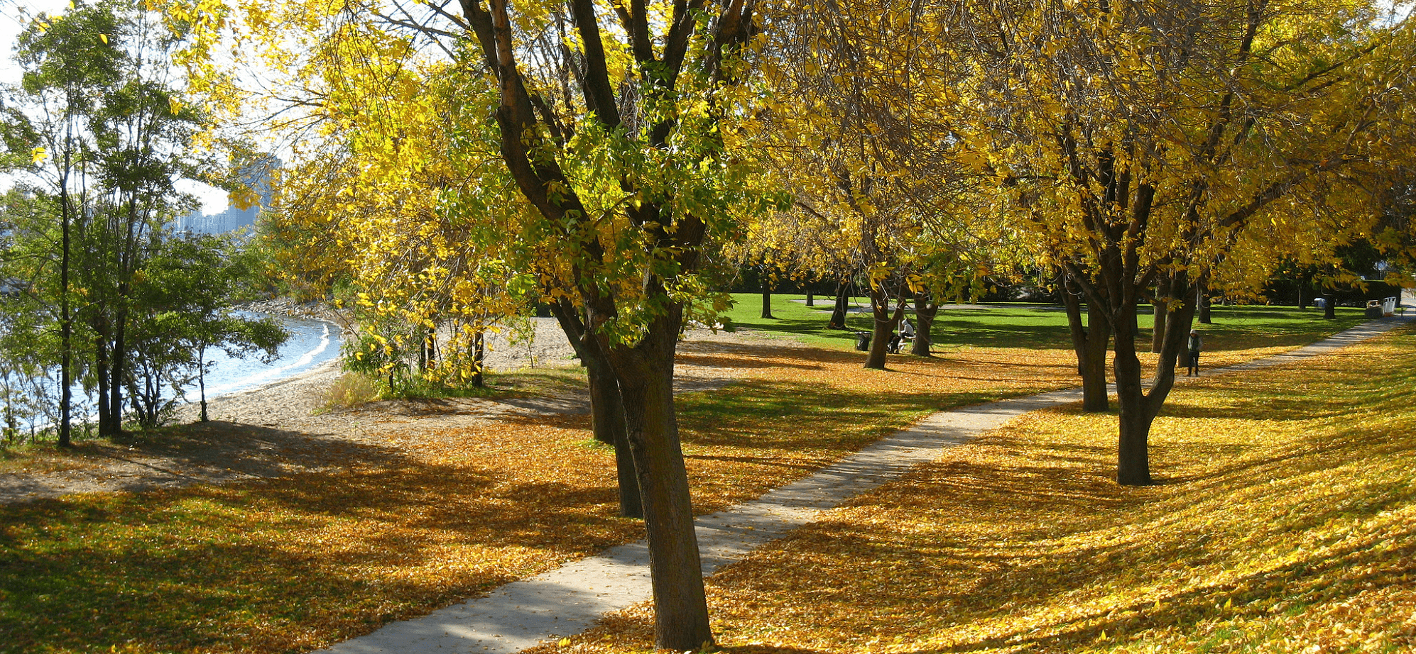 Walk into your everyday commute