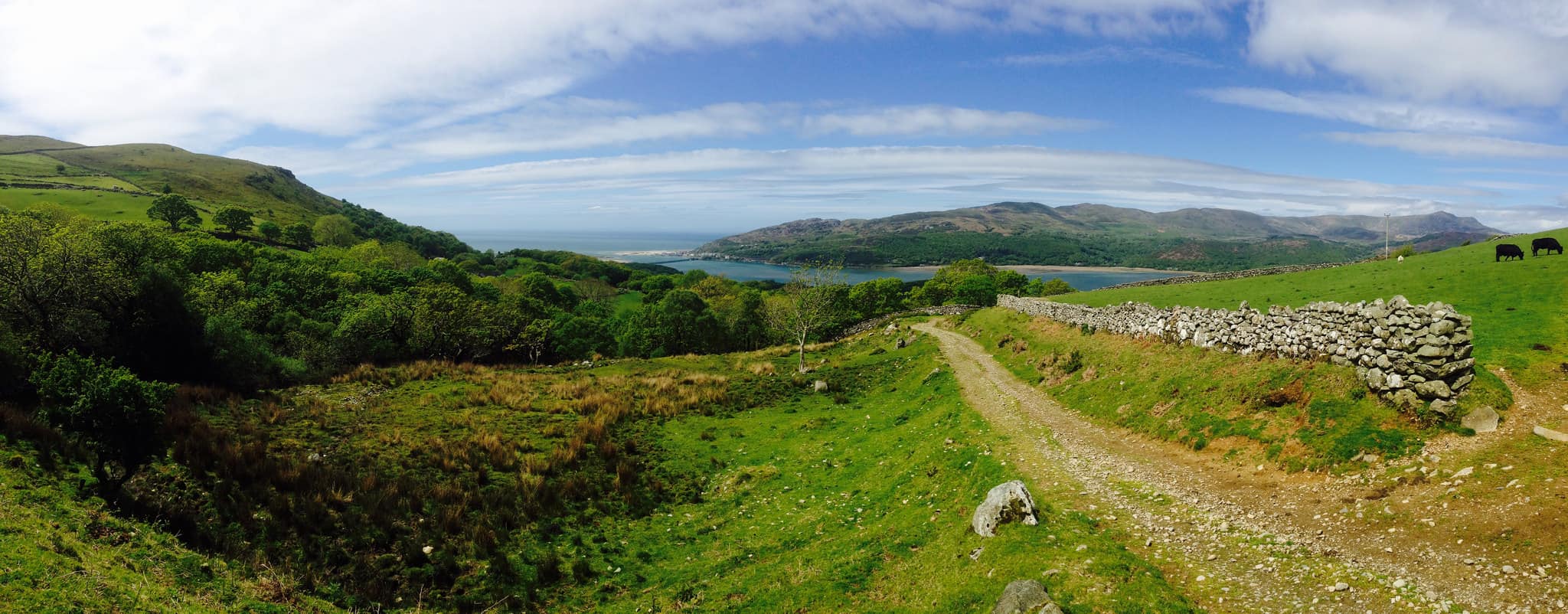 View over the Meirionnydd Coastal Path