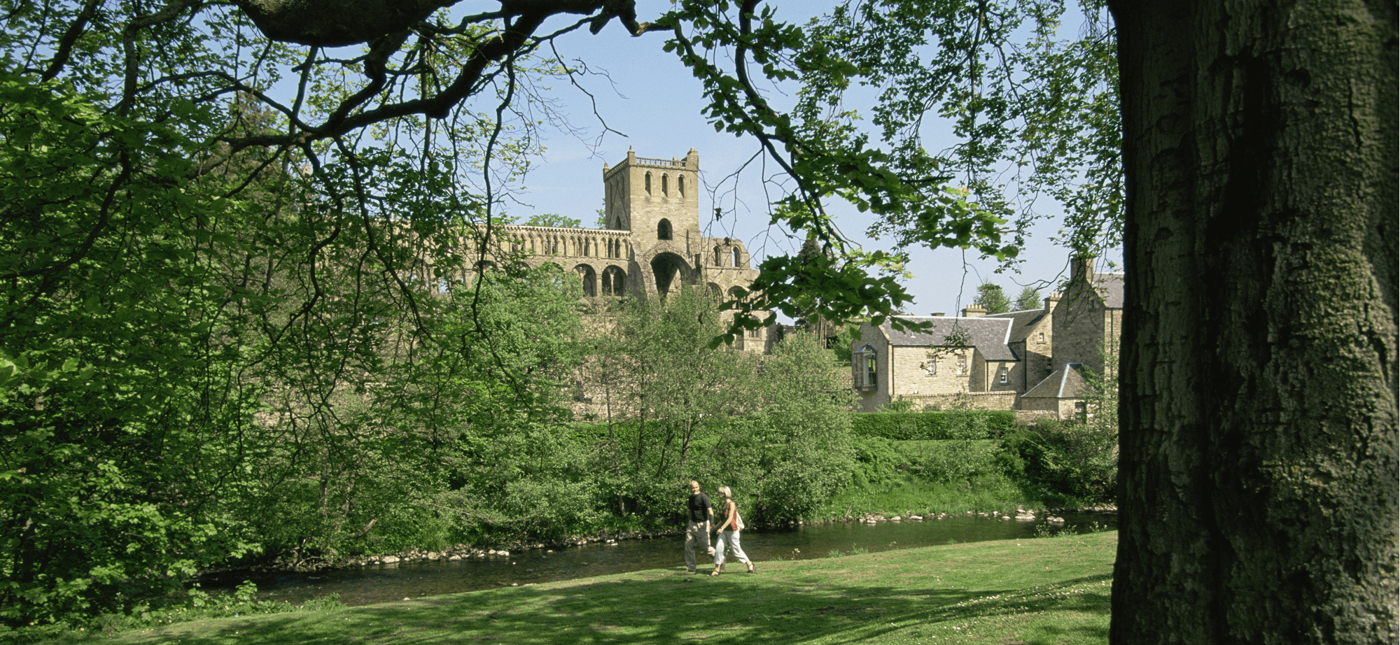 Literature inspired walks along Jedburgh Abbey, Border Abbey Way