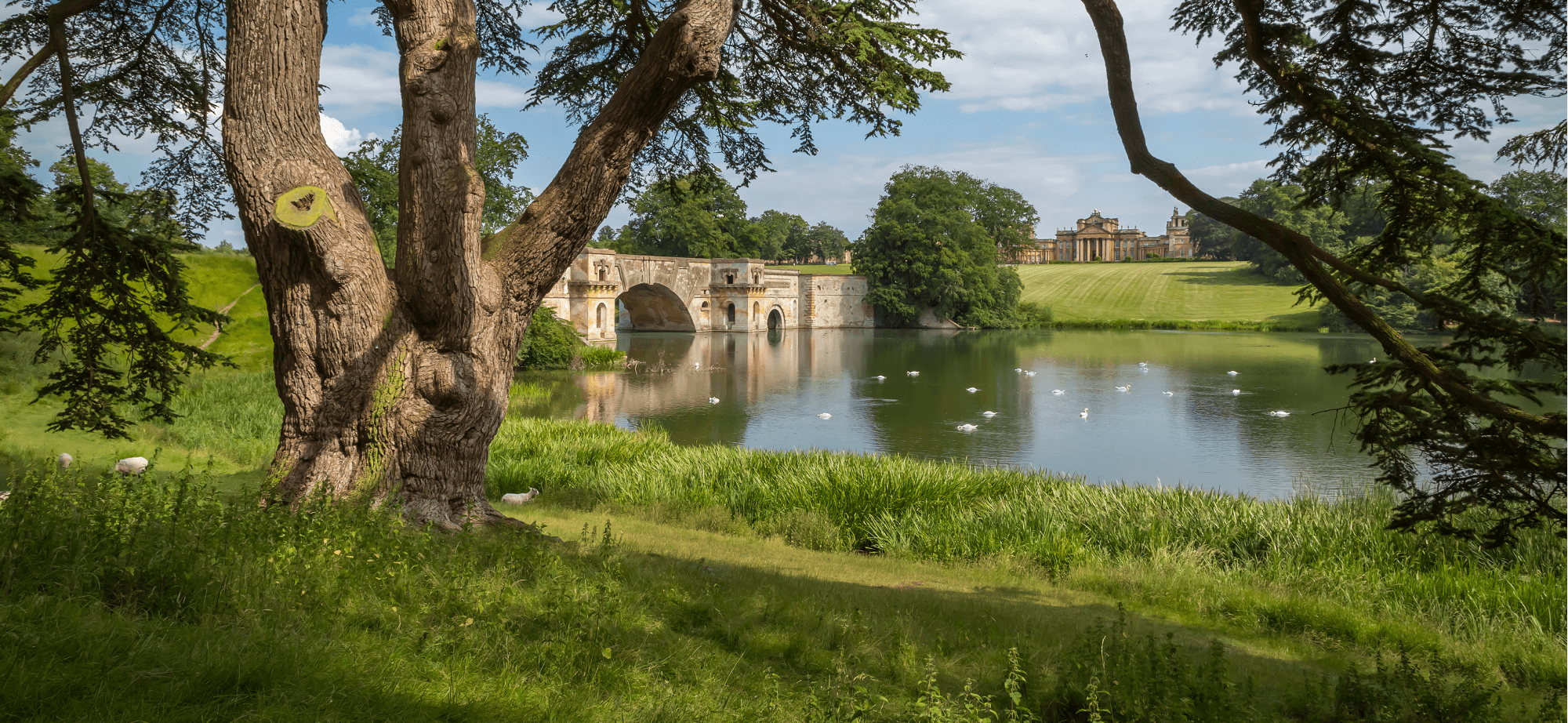 Thames Path Walking Holidays - Hampton Court