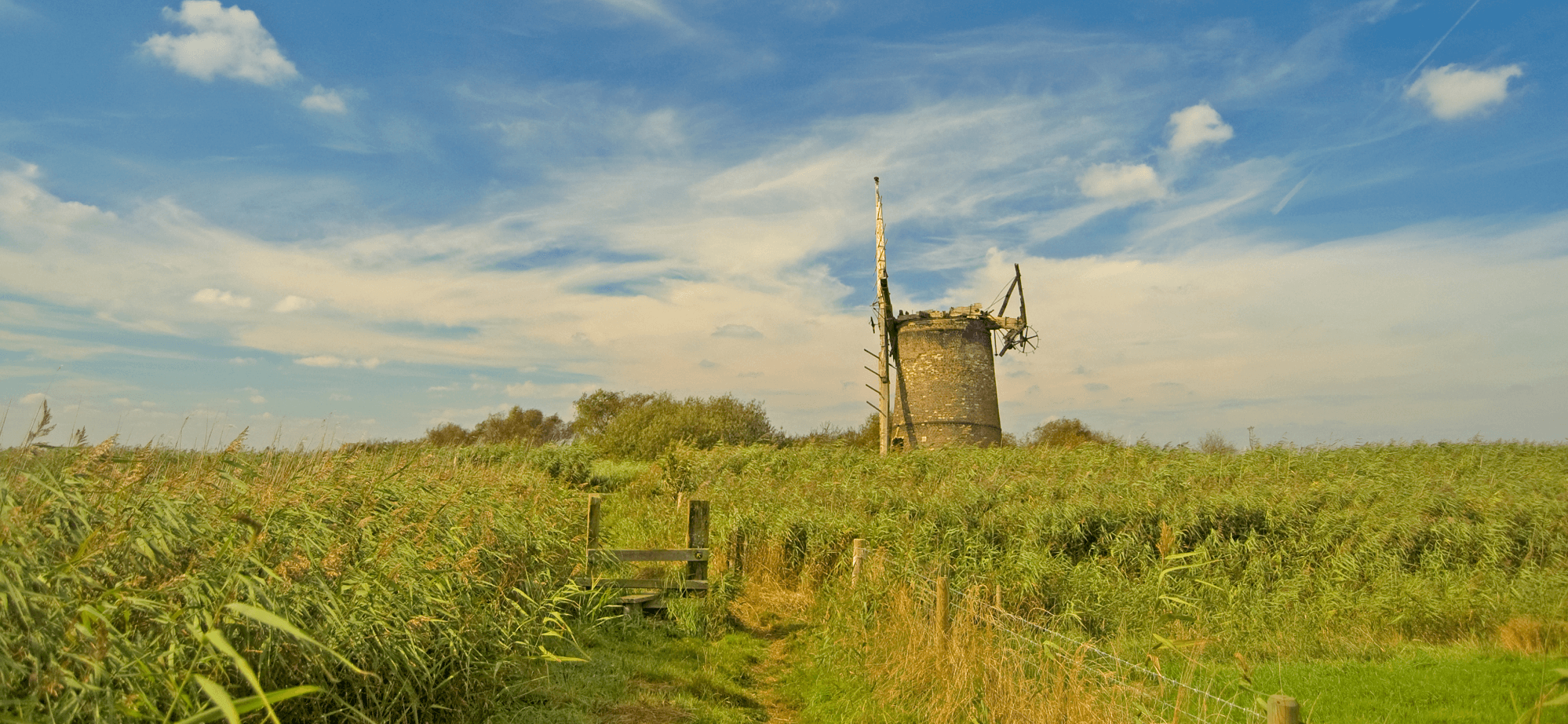 Norfolk Windmill