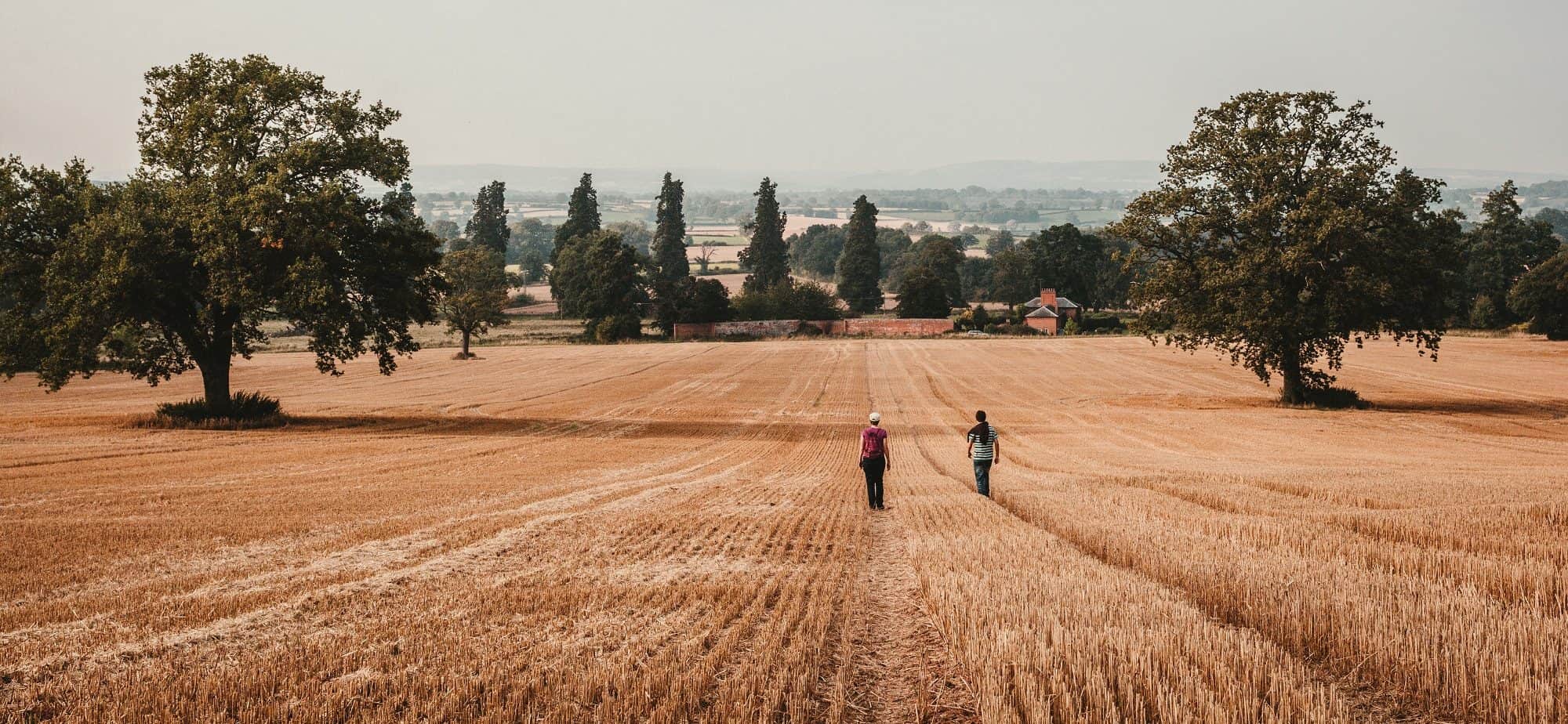 Two Walkers Across Field