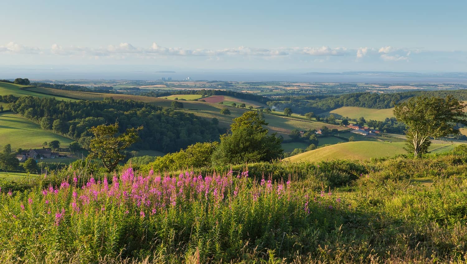 Quantox Hills Somerset