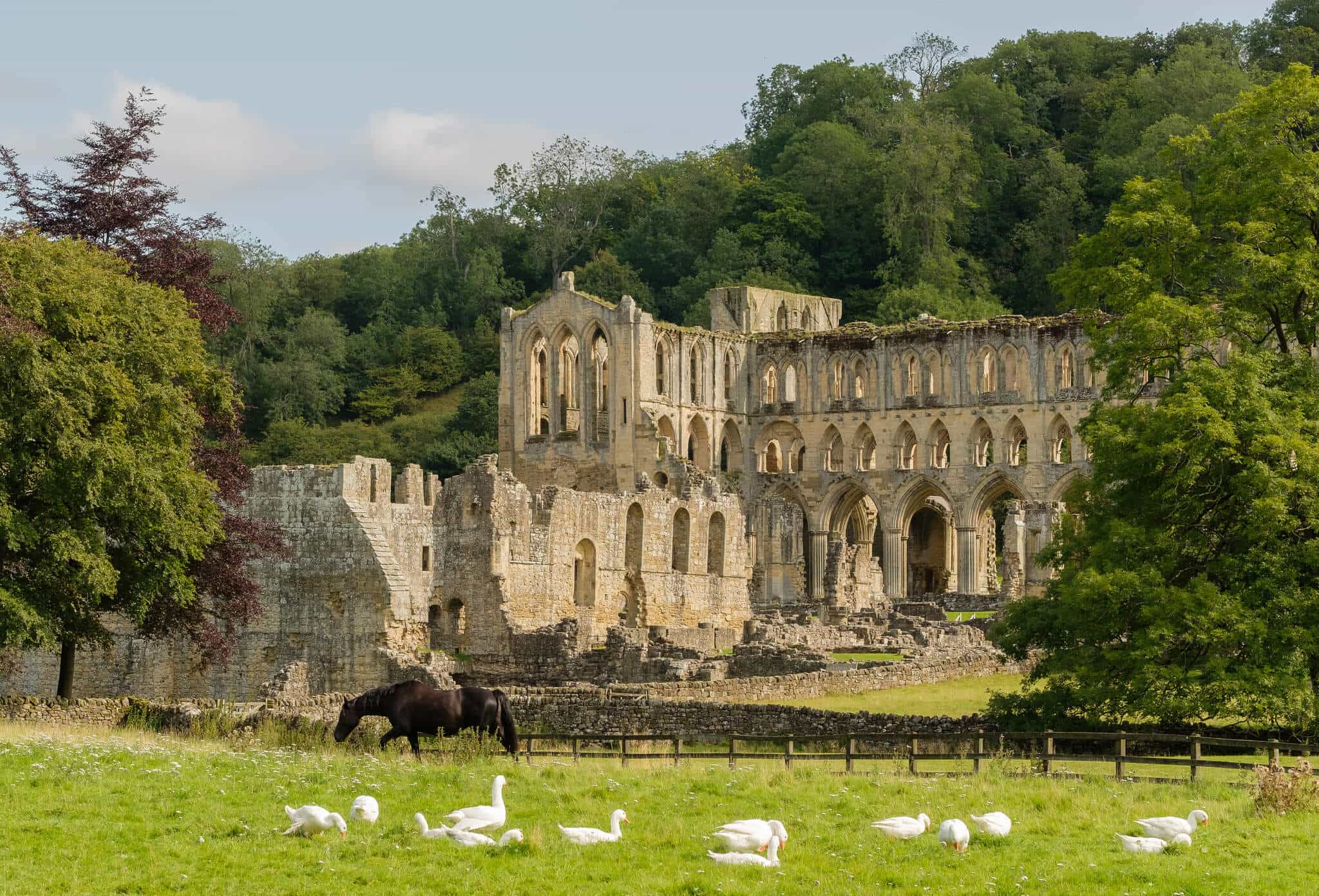 Hiking the Cleveland Way, Rievaulx Abbey, Helmsley to Sutton Bank