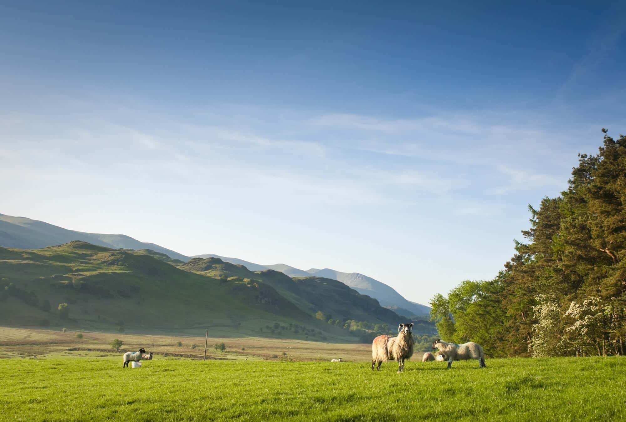 Rural Landscape on The Cumbria Way