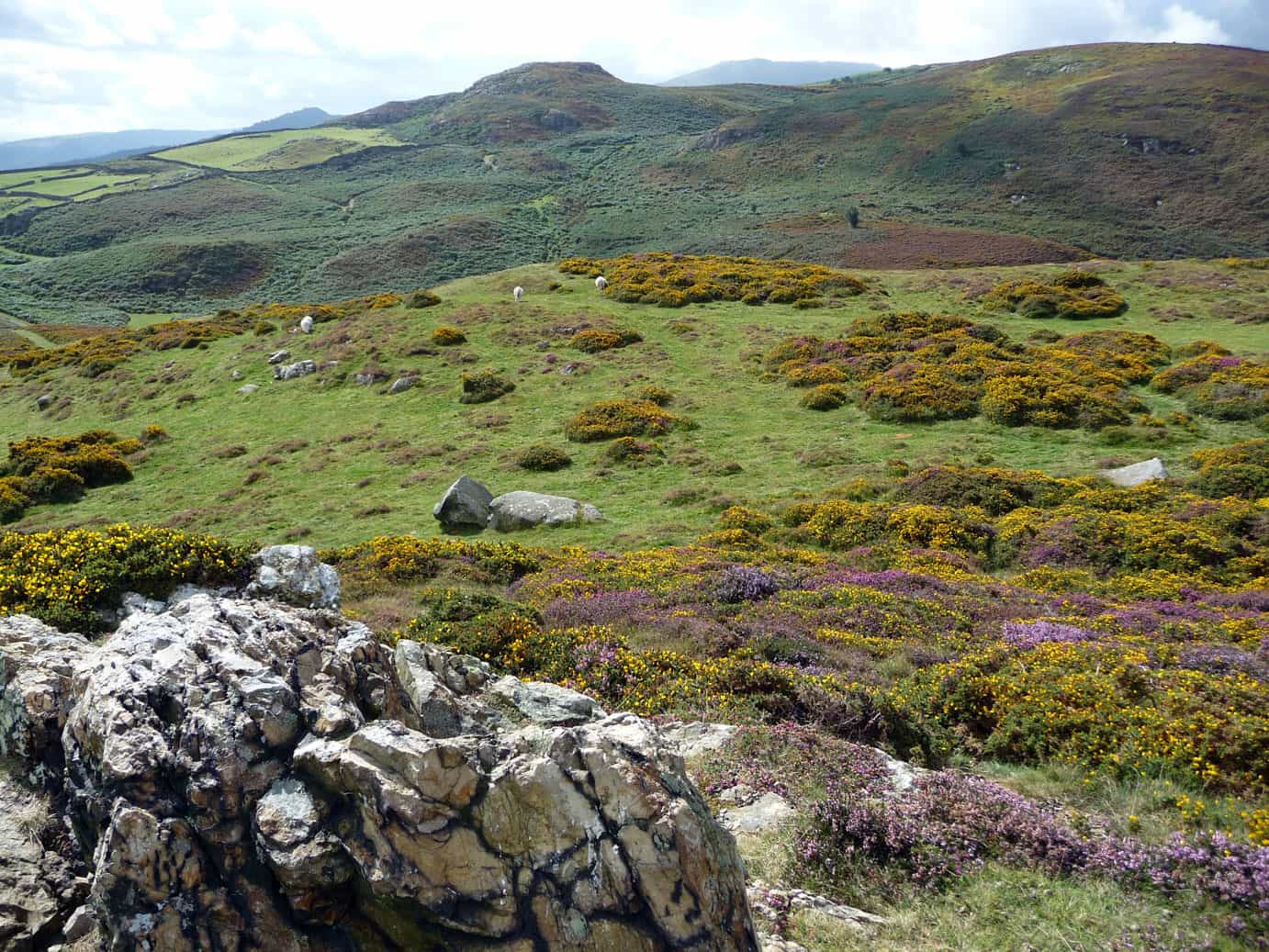 Synchant Pass near Conwy and Penmaenmawr, North Wales Coast Path
