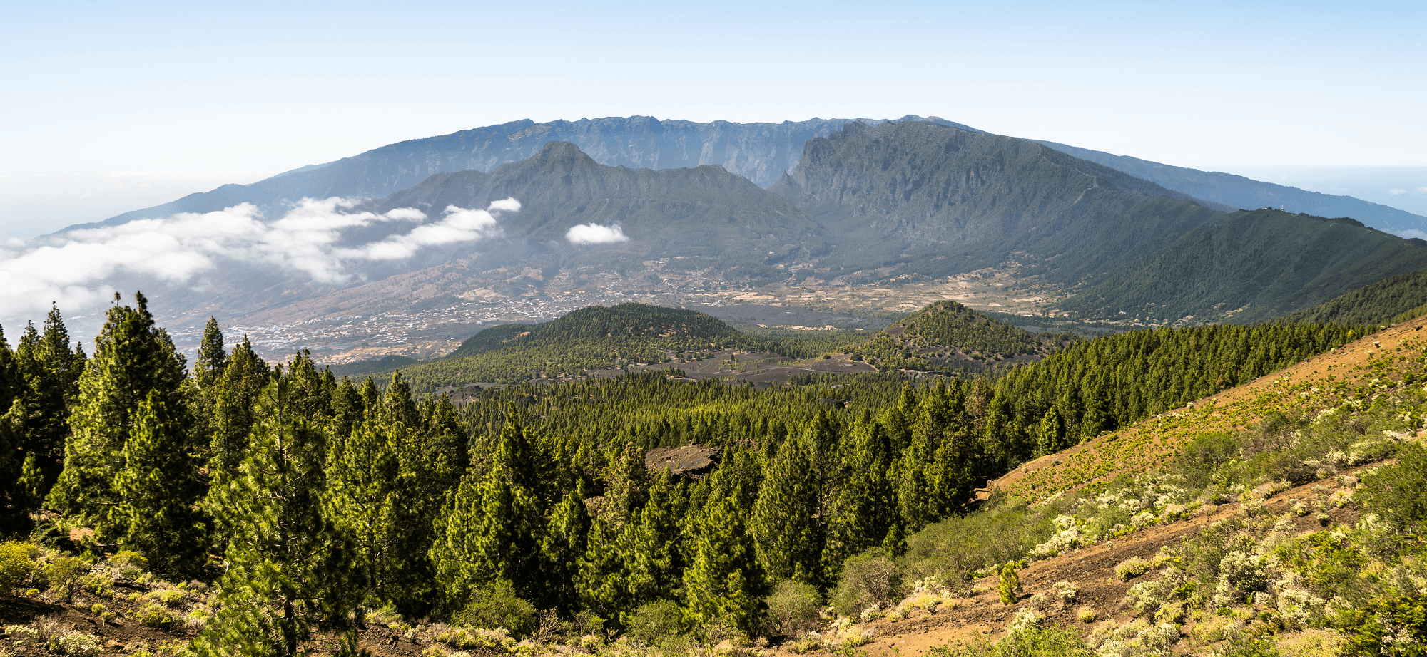 Hiking La Palma Caldera de Taburiente national park