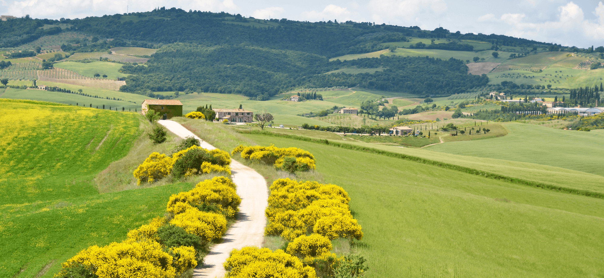 Tuscany Pienza Rural Road Sentiero Toscana