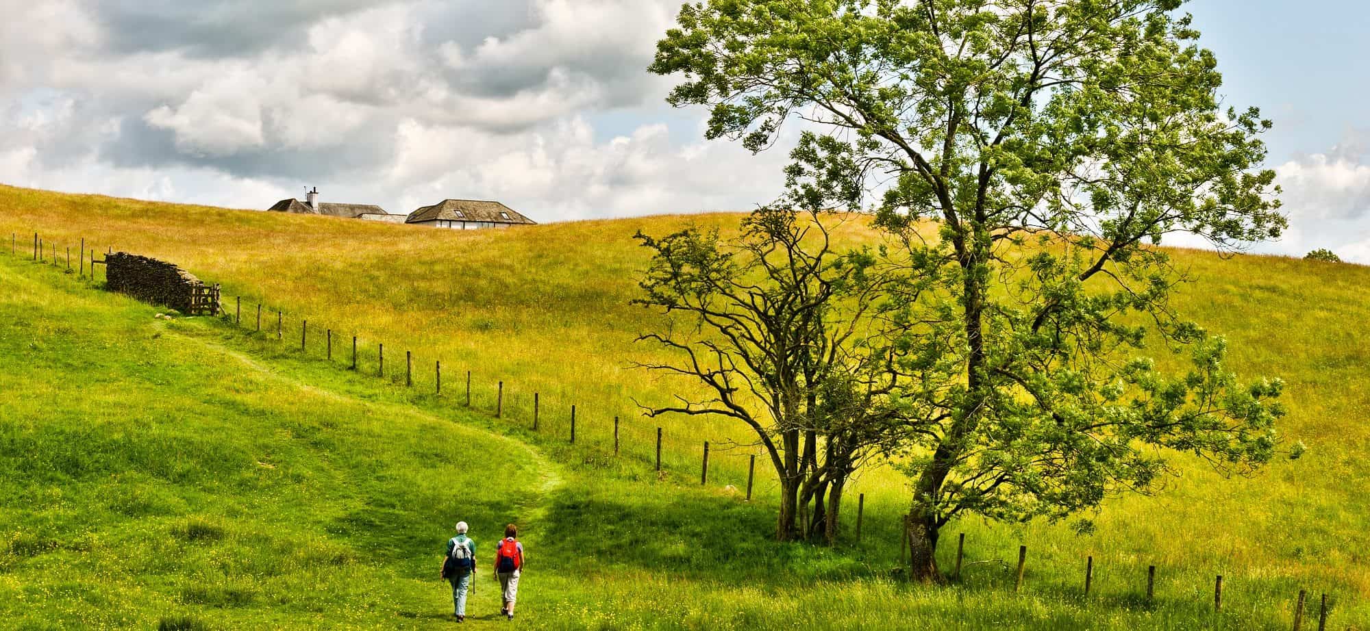 Two people walking through a golden meadow near Far Sawrey, Cumbria, in the English Lake District National Park