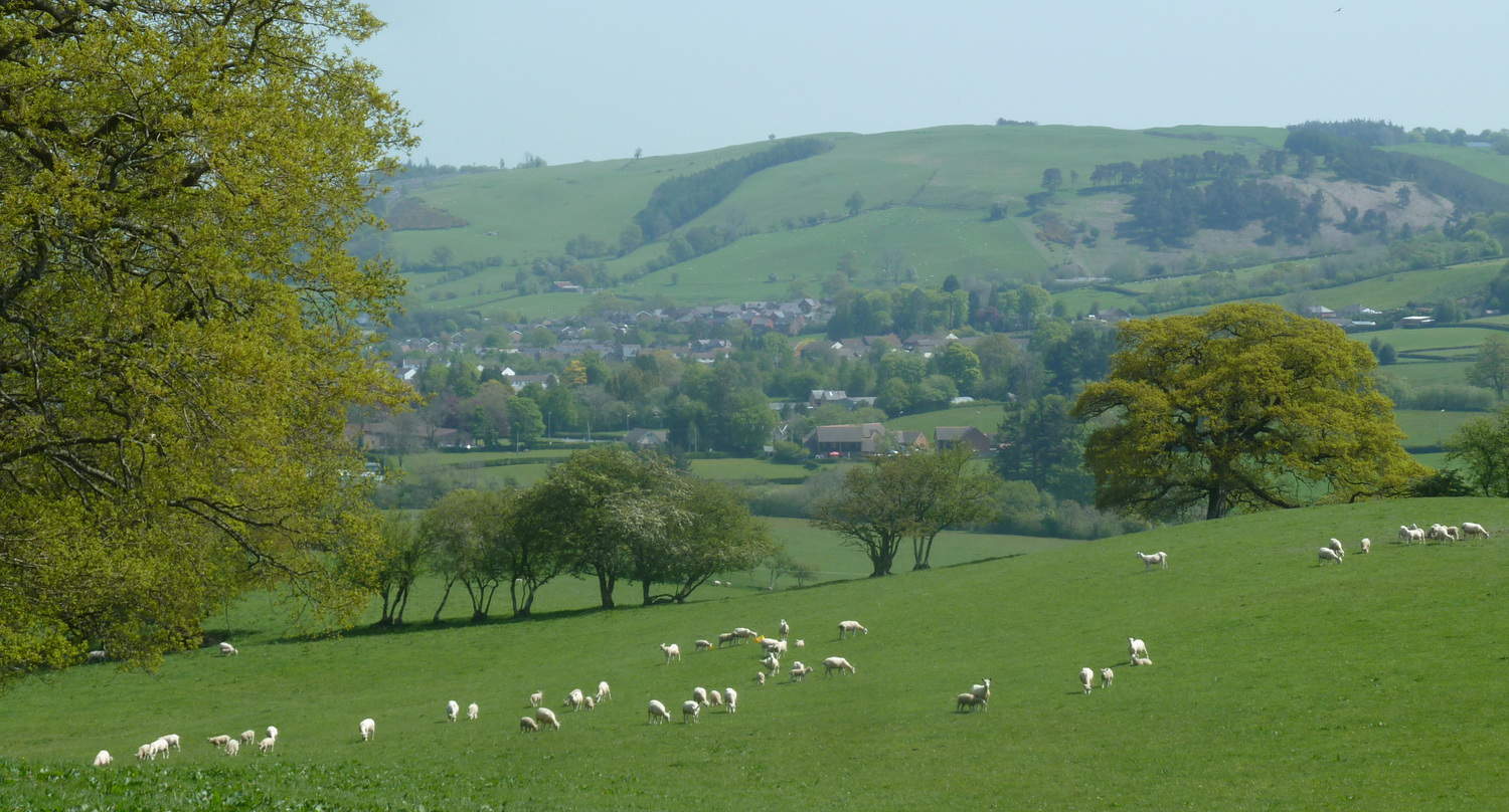 Valley around Llanidloes, on the Glyndwr's Way