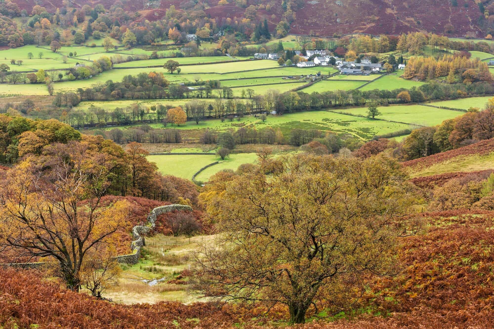 View of a village in Autumn in the Lake District