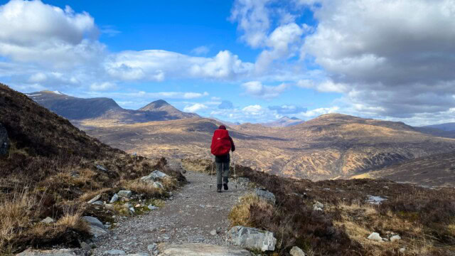 west highland way - holly