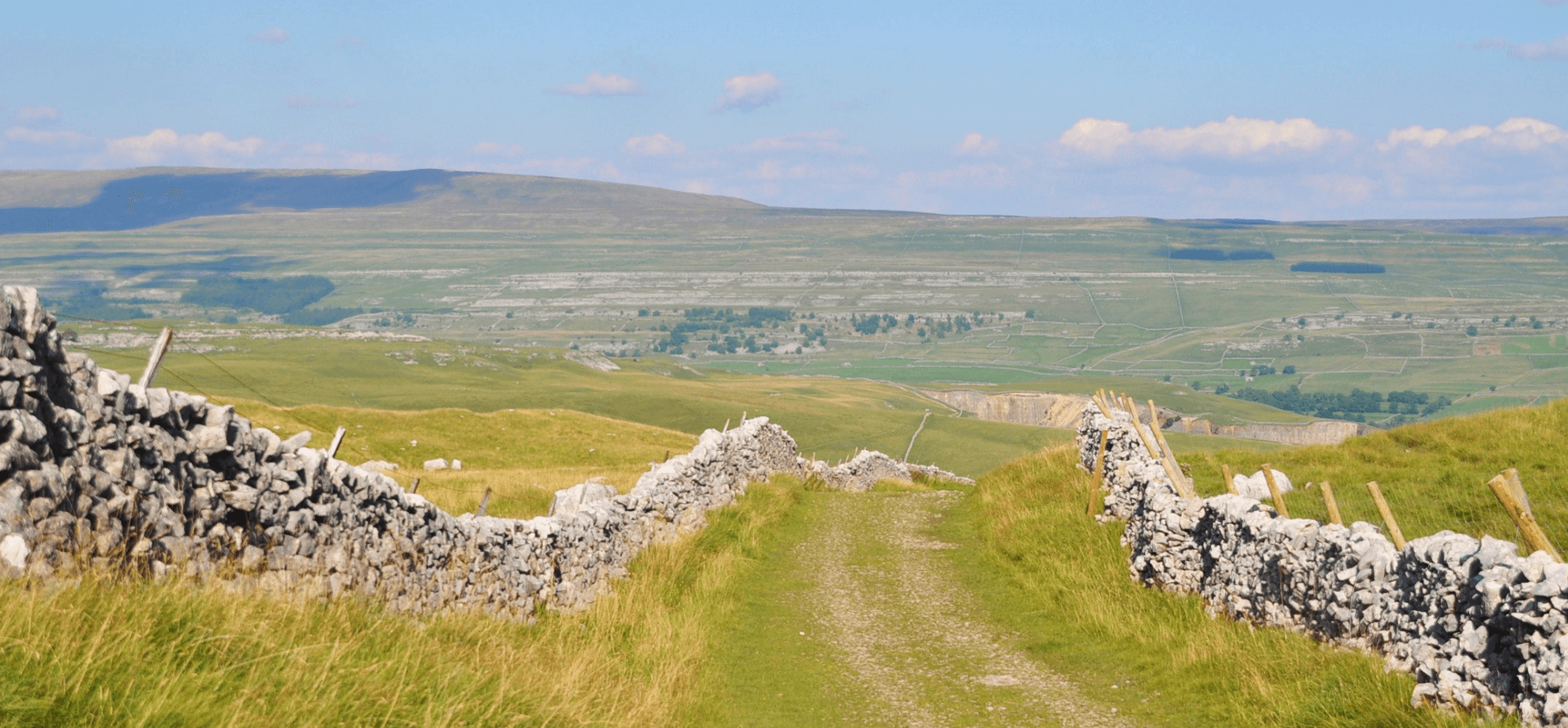 Yorkshire Fields