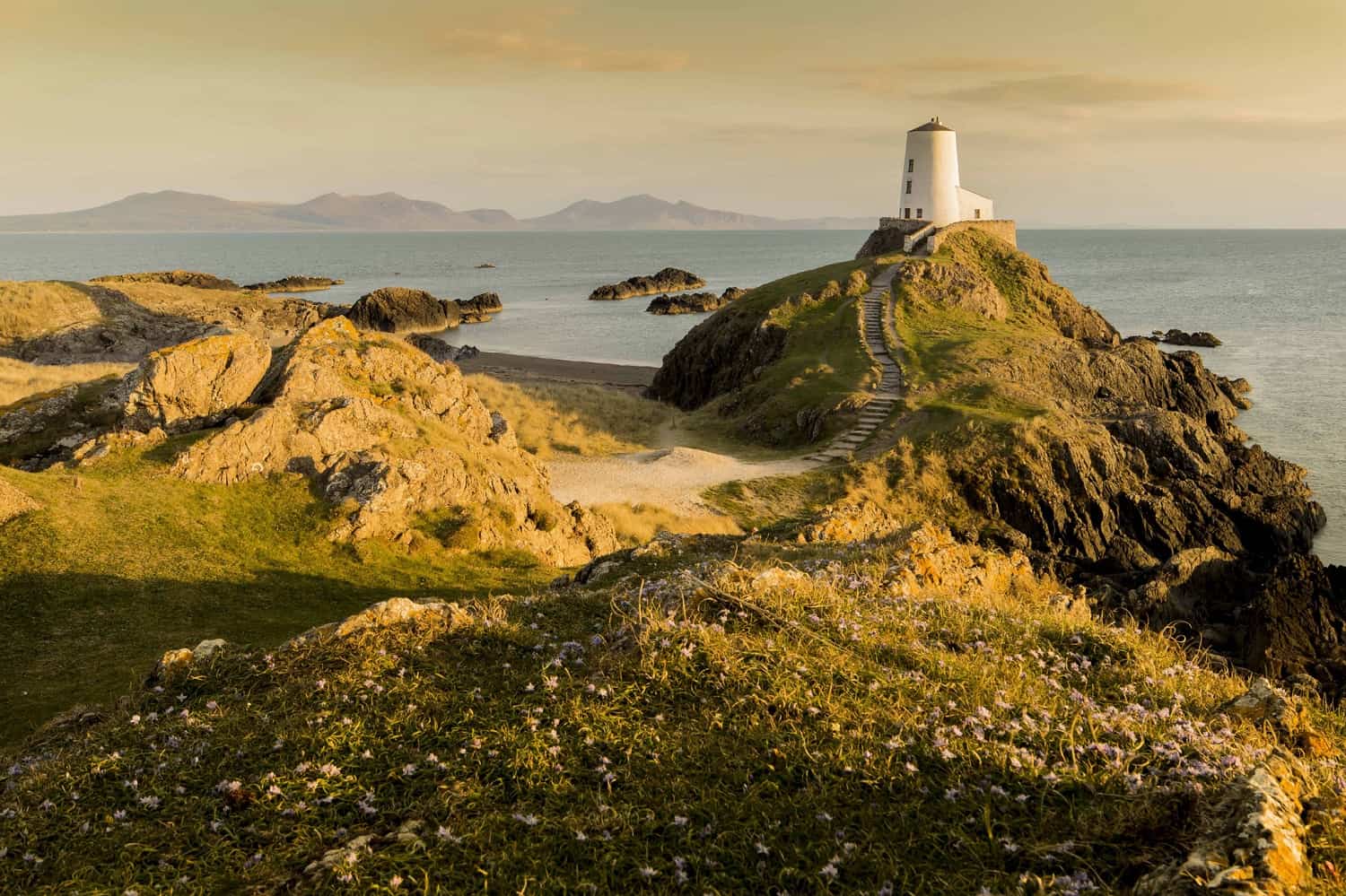 Ynys Llanddwyn Tŵr Mawr