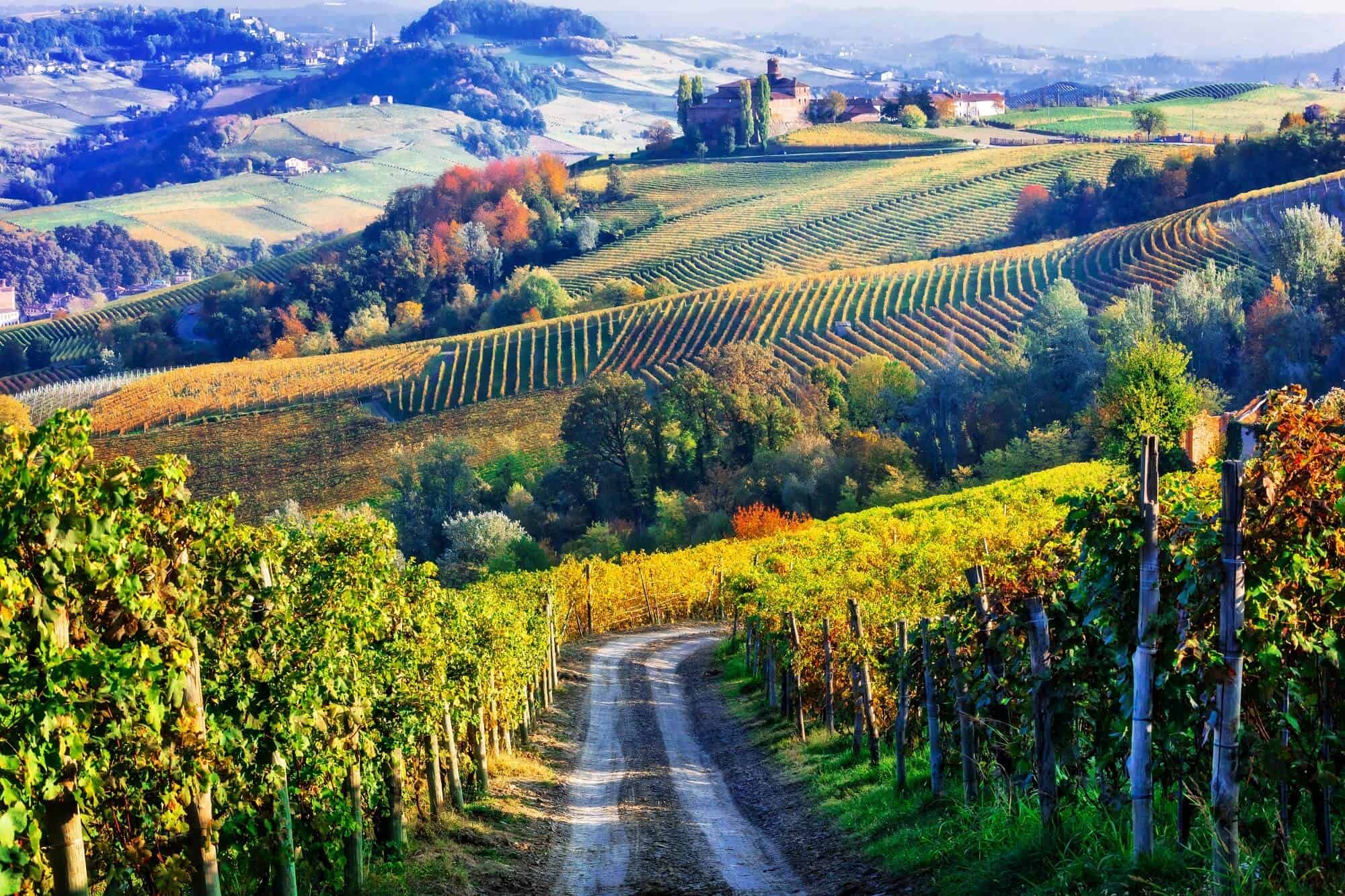 Vineyards-and-hiking-in-Piedmont