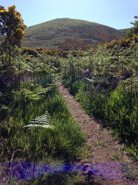 St Cuthbert's Way Walking Holidays