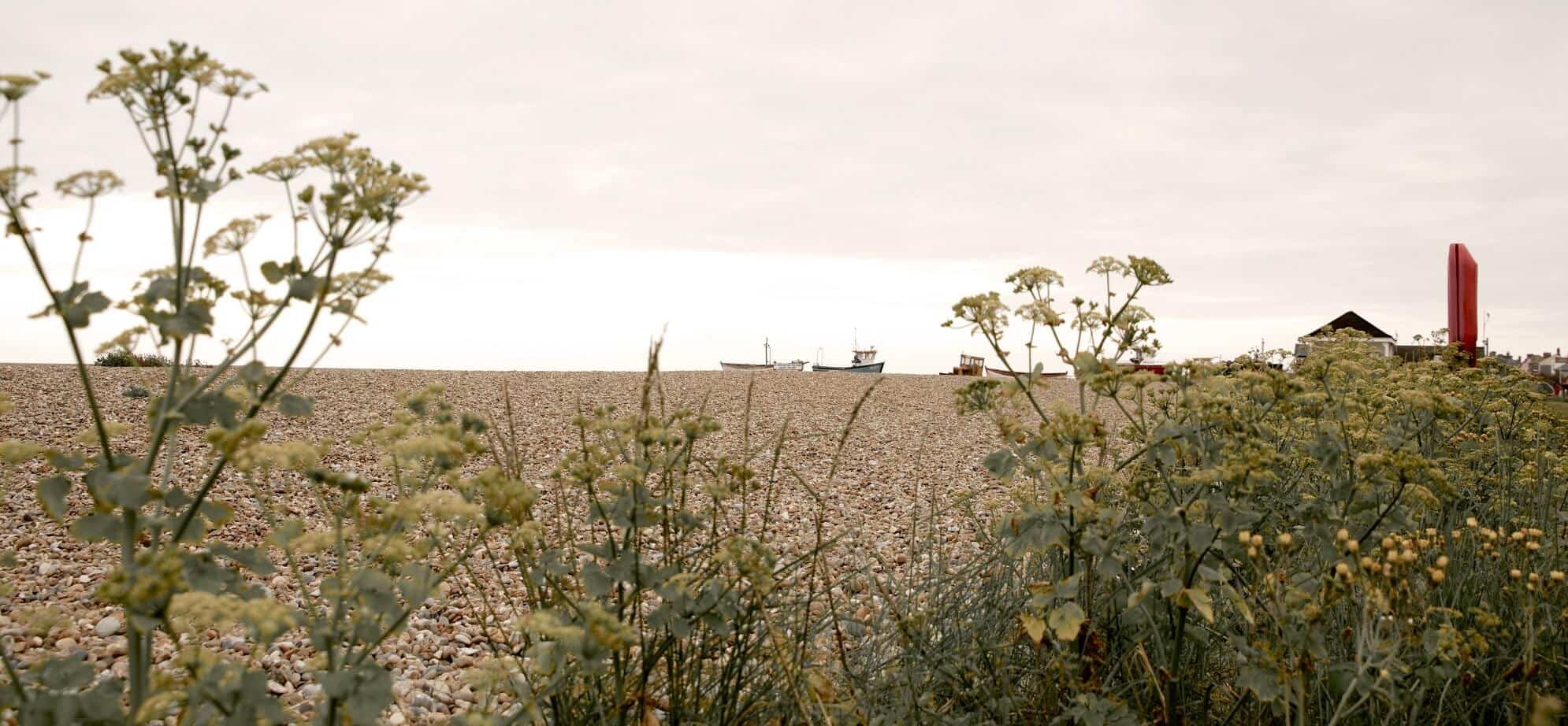 Countryside Scene