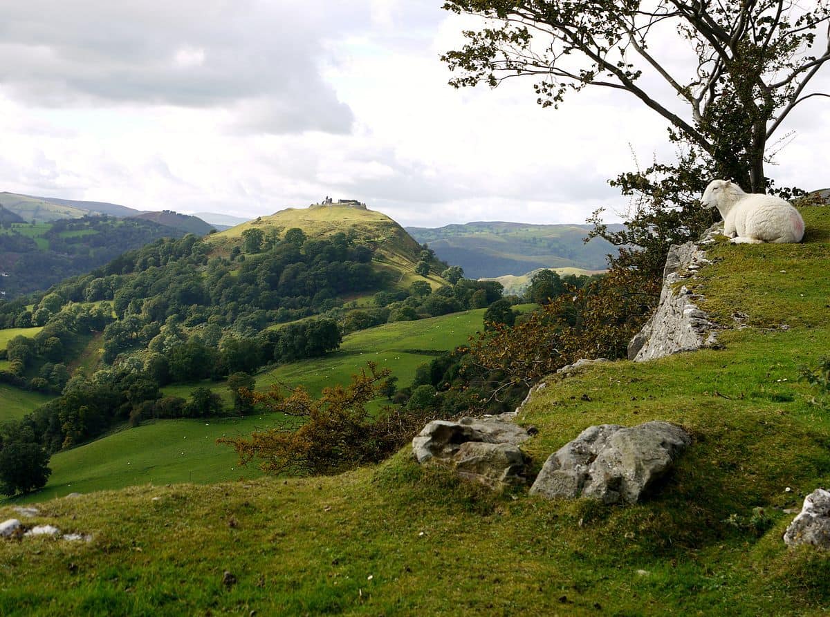 Llangollen Castell Dinas Bran